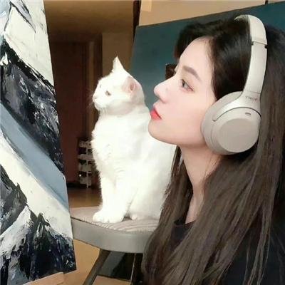罗小黑战记2